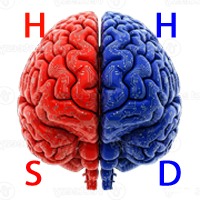 red-blue-brain-white